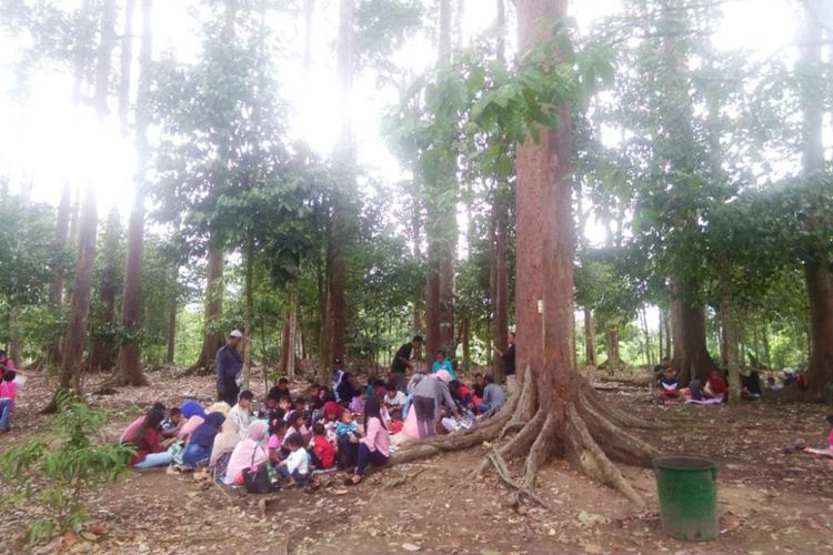 Sehari Di Hutan Lindung Kota Langsa Halaman All Kompascom