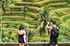 Wisata Sawah Akan Hadir di Utara Jabar