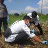 Kerangka Manusia Ditemukan di Perkebunan Tebu Mojokerto, Diduga Meninggal Lebih dari 3 Bulan Lalu