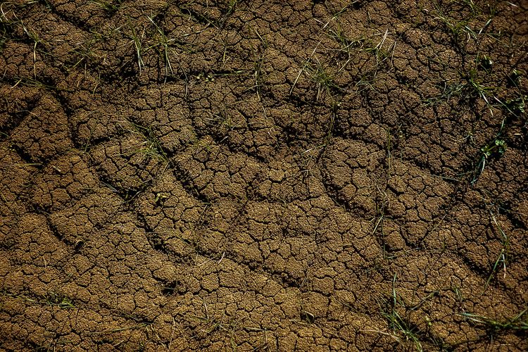 Ilustrasi longsor. Empat rumah di Jombang tertimbun longsor, Kamis (23/1/2025)