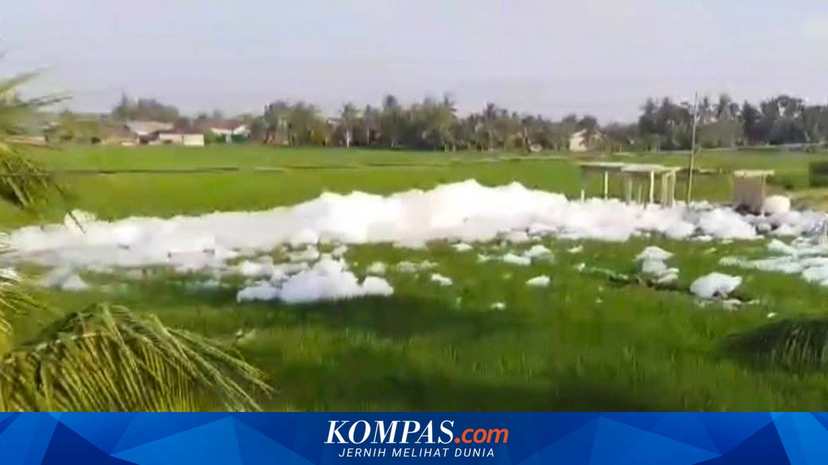 Buih Mirip Salju yang Cemari Sungai Percut Diduga Berasal dari Pembersihan IPAL
