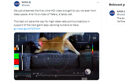 NASA Siarkan Video Pertama dari Luar Angkasa, Dibintangi oleh Kucing 