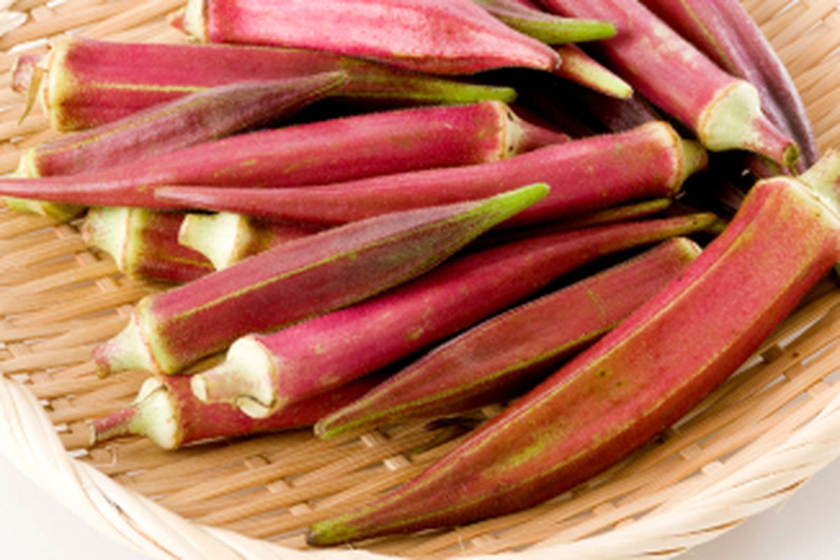 Sayuran okra merah