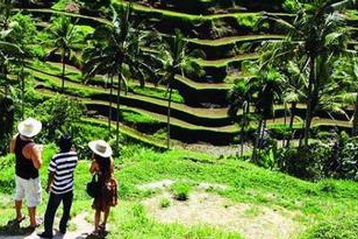 Wisatawan menikmati pemandangan persawahan di Tegalalang, Ubud, Bali, Minggu (24/1/2010). Selain budaya, panorama juga menjadi daya tarik utama pariwisata Pulau Dewata.