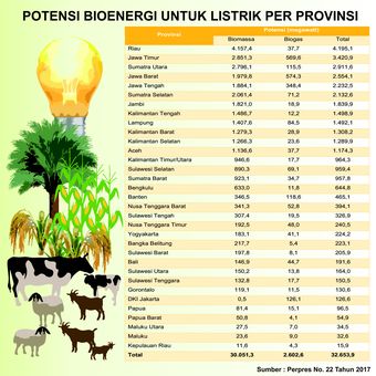 Potensi bioenergi untuk listrik per provinsi.