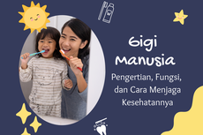 Jenis Gigi Manusia, Fungsi, dan Cara Menjaga Kesehatannya