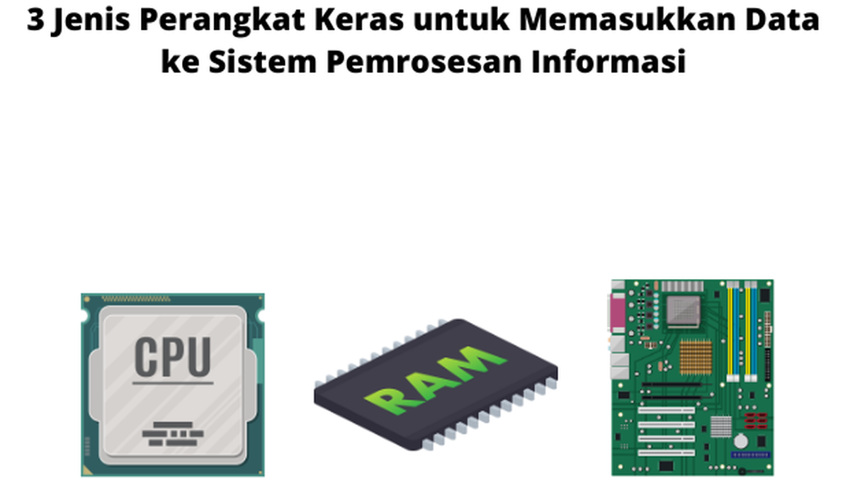 3 Jenis Perangkat Keras untuk Memasukkan Data ke Sistem Pemrosesan ...