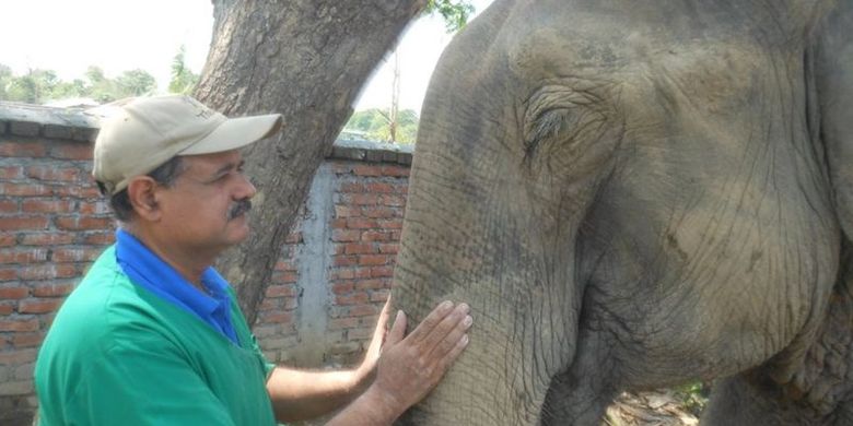 Dokter Kushal Konwar Sarma bersama seekor gajah yang dirawatnya. Dokter berusia 60 tahun itu dijuluki Dokter Gajah karena menyelamatkan 10.000 gajah di India dan Indonesia.