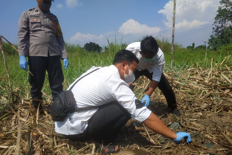 Tim Inavis Polres Kota Mojokerto, Jawa Timur, melakukan pemeriksaan di lokasi penemuan kerangka manusia di lahan perkebunan tebu, di Desa Mlirip, Kecamatan Jetis, Mojokerto, Jawa Timur, Senin (20/6/2022).