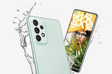 Menko Pangan Ajak Perwakilan Dubes Blusukan Hutan Rajabasa Hingga Penanaman Bibit Pohon