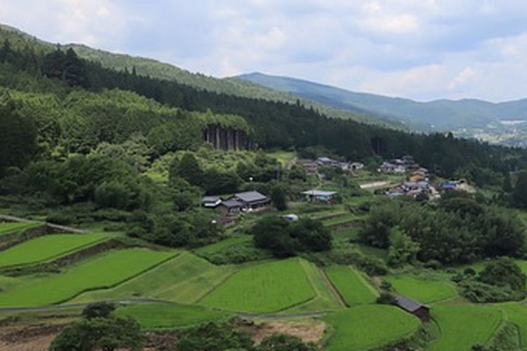 Ilustrasi terasering