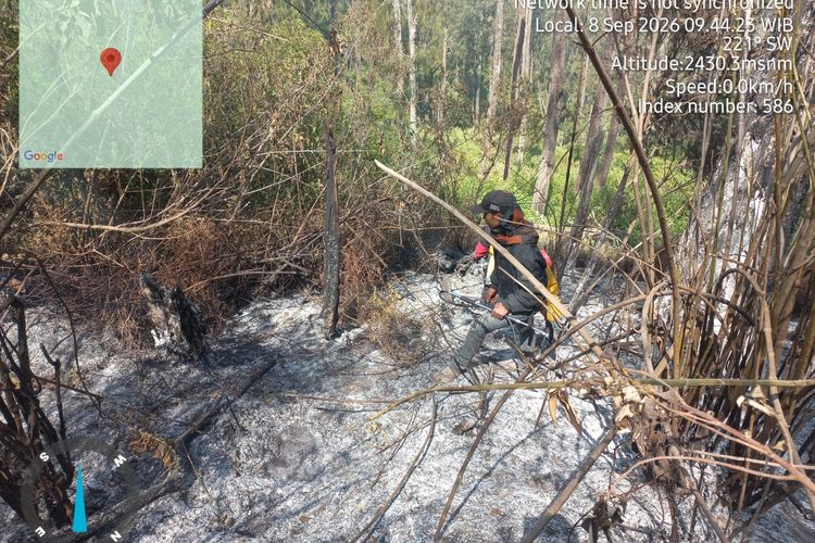 Modifikasi Cuaca Tak Berhasil, Kebakaran Gunung Argopuro Meluas