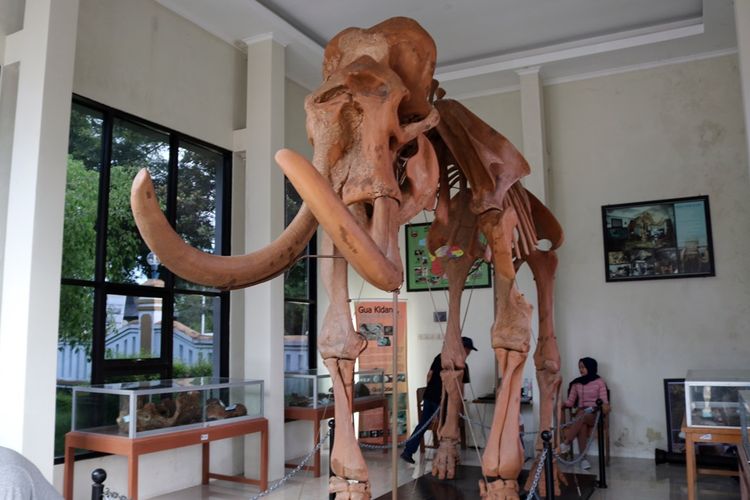 Museum Fosil Gajah Purba di Blora, Jawa Tengah, salah satu tempat wisata anak di Blora. 