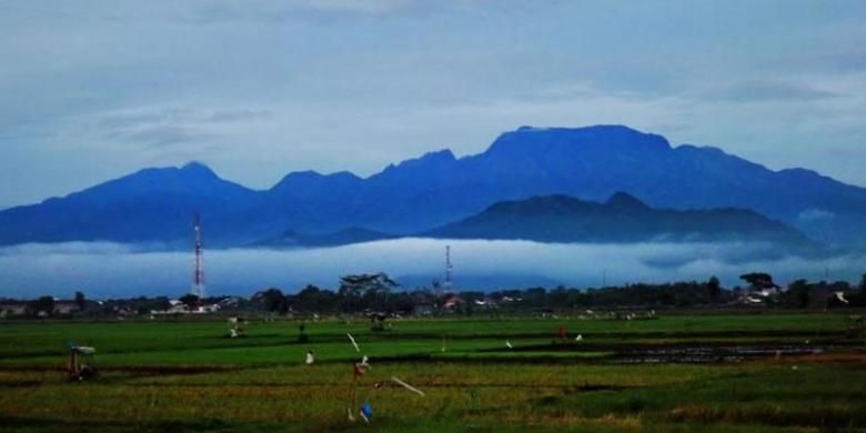 Gunung Wilis di Jawa Timur menjadi salah satu destinasi yang disiapkan oleh Pemerintah Kabupaten Kediri untuk menyambut operasional Bandara Internasional Dhoho.