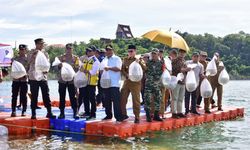 Jadikan Wajo Sentra Ikan Air Tawar, Pj Gubernur Sulsel Tebar 250.000 Benih Ikan Nila