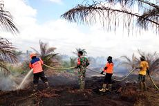Hari Keempat, Kebakaran Lahan Gambut di Rokan Hulu Riau Belum Padam