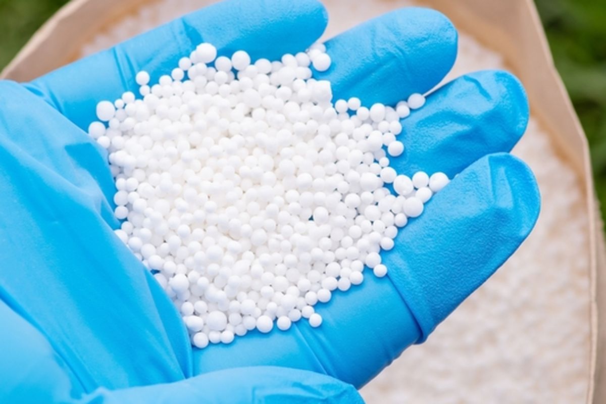 Ilustrasi pupuk urea dari ammonium
