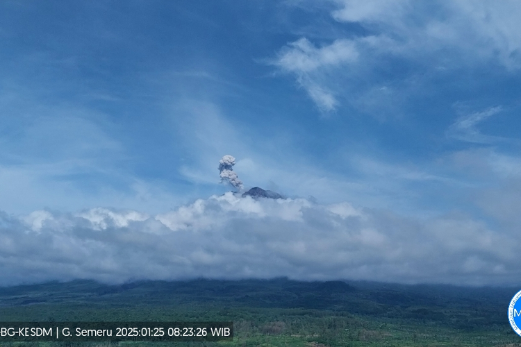 Visual erupsi Gunung Semeru berupa letusan setinggi 1.000 meter, Sabtu (25/1/2025)