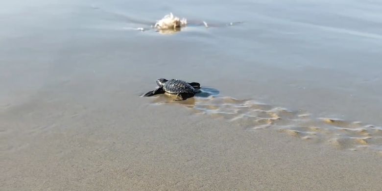 Berita Terkini Harian Rute Pantai Barane Majene Terbaru Hari Ini ...