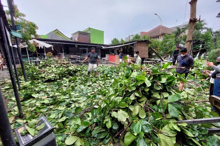 Puing-puing dari tumbangnya pohon ketapang di Food Yard, Cipondoh, Kota Tangerang, pada Senin (25/10/2021).