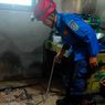 18 Ular Kobra Ditemukan Bersarang di Rumah Warga Tuban, Bermula Pemilik Lihat Seekor Kobra di Dapur