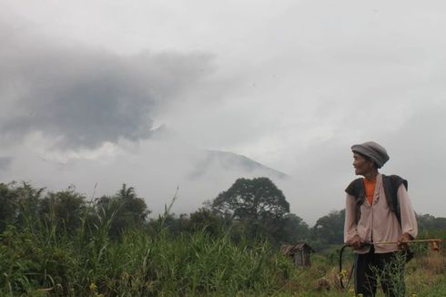 Erupsi Marapi Bikin Gagal Panen, Petani Tanah Datar Bakal Terima BLT