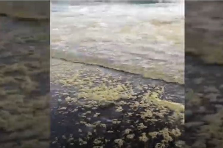 Foto ini merupakan tangkapan layar dari YouTube The Siberian Times, di mana peselancar Mayi Rudik pada 29 September 2020 merekam kondisi air laut di Pantai Khalaktyr, Kamchatka, Rusia yang warnanya berubah menjadi kuning.