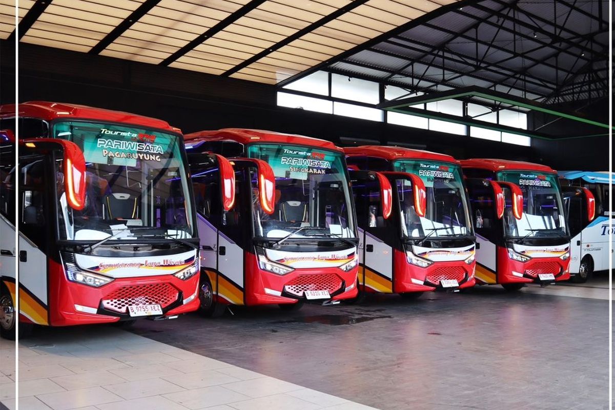 Medium bus PO Gumarang Jaya pakai bodi Tourista SR3