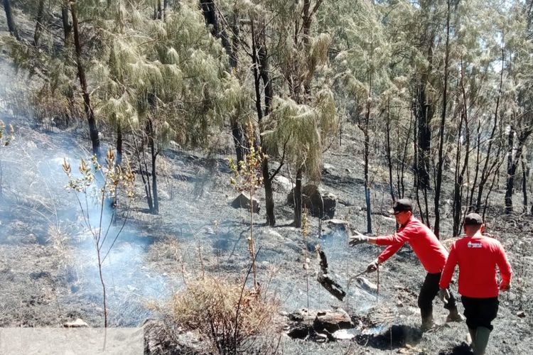  Terkendala Cuaca, Water Bombing Batal Dikerahkan untuk Padamkan Karhutla Arjuno-Welirang
