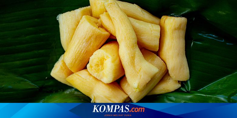 Jelaskan perbedaan makanan fungsional tradisional dan modern