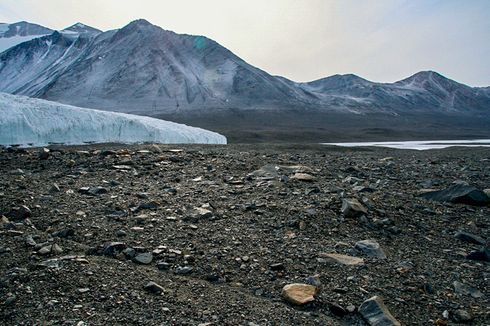 Kali Pertama dalam Sejarah, Antartika Lewati Suhu 20 Derajat Celcius