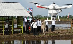 Percepat Pengembangan Food Estate Kalteng, Kementan Beri Bantuan 379 Miliar