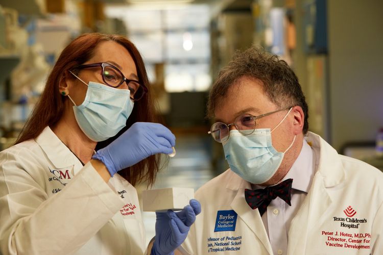 Peneliti Maria Elena Bottazzi dan Dr. Peter Hotez yang mengembangkan vaksin Corbevax