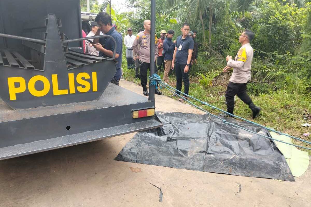 Aksi Heroik Prajurit TNI di Palembang Tangkap Maling, Terluka Parah karena Senjata Tajam