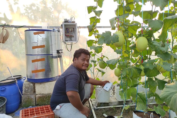 Anak Petani Demak Ciptakan Teknologi Tanam Tanpa Tanah, Dikontrol melalui Handphone dan Kini Jadi Penelitian Mahasiswa