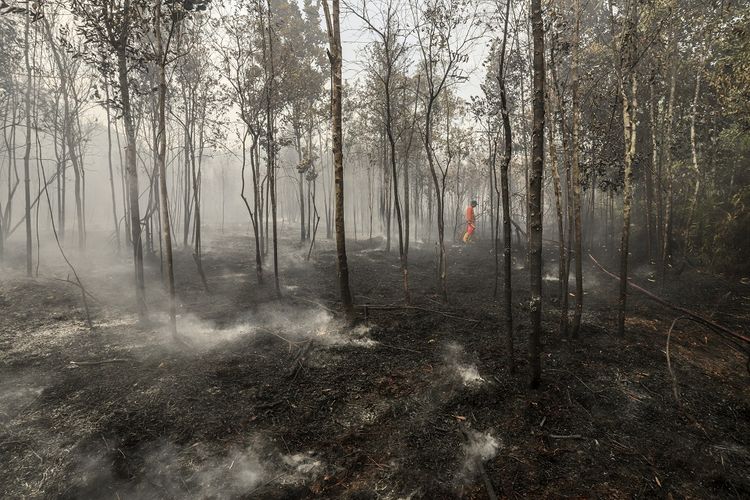 Petugas Penanggulangan Bahaya Kebakaran (PBK) Badan Pengusahaan (BP) Batam berusaha memadamkan areal hutan terbakar di wilayah Keselamatan Operasi Penerbangan (KKOP) Bandara Hang Nadim, Batam, Kepulauan Riau (Kepri), Senin (22/2/2021). Kebakaran hutan dan semak belukar di area Line Side (Sisi Darat) bandara diduga disebabkan oleh cuaca panas dan angin kencang. ANTARAFOTO/Teguh Prihatna/rwa.