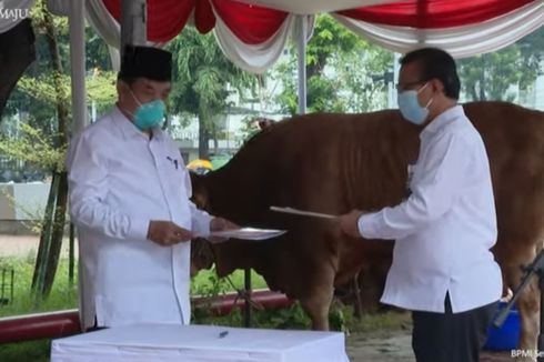 Jokowi Serahkan Sapi Kurban untuk Masjid Istiqlal