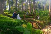 Kemhut Revisi Aturan, Peran Kesatuan Pengelolaan Hutan Bakal Diperkuat