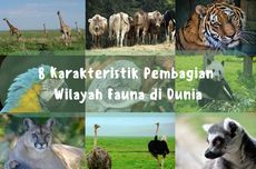 8 Karakteristik Pembagian Wilayah Fauna di Dunia