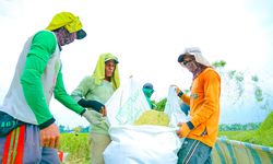 Produksi Beras Nasional Meningkat, Komisi IV DPR RI Apresiasi Kinerja Mentan Amran