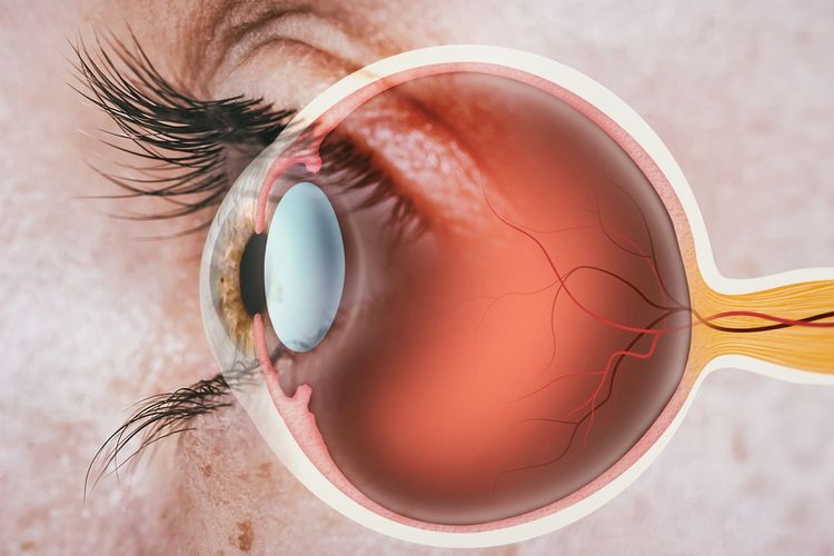 Ilustrasi mata. Diabetes dapat menyebabkan kebutaan seiring berjalannya waktu karena kadar gula darah tinggi yang merusak mata.