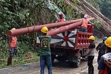 PLN Perbaiki Jaringan Listrik yang Rusak akibat Cuaca Ekstrem di Seram Barat