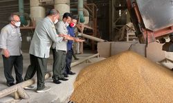 Mentan SYL Sebut Irigasi Jadi Solusi Penuhi Kebutuhan Air Tanaman, Petani Jagung di Sidoarjo Rasakan Manfaatnya