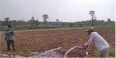 Kementan Klaim Pertanian di Lampung Selatan Berkembang Pesat Berkat Irigasi Perpompaan