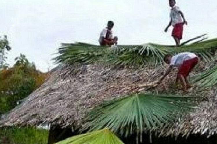 Para siswa SD Oevetnai Kabupaten Malaka, NTT sedang memperbaiki atap sekolah yang rusak dengan menggunakan daun gewang. 