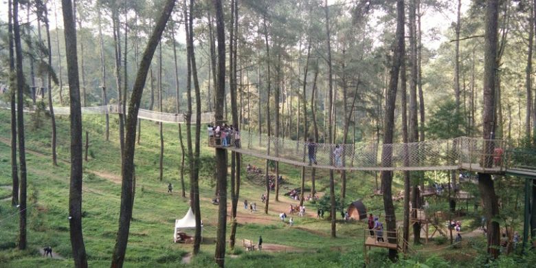 Pengunjung saat menikmati Wooden Bridge di eduwisata Orchid Forest Cikole, Bandung Barat, Minggu (17/6/2018).