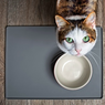 Tidak Cuma Mengeong, Kenali 7 Tanda Kucing Peliharaan Lapar