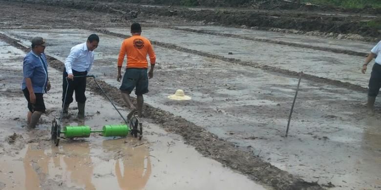 Menteri Pertanian Andi Amran Sulaiman saat melakukan penyemaian benih padi organik di Desa Bukit Langkap, Kabupaten Lingga, Provinsi Kepulauan Riau, Rabu(7/9/2016).