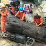 Berteduh di Toko, Hasan Tercengang Lihat Motornya Remuk Tertimpa Pohon Tumbang