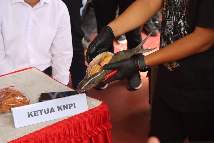 Penyelundupan 3 Kg Narkoba Dalam Perut Ikan Bandeng Senilai Rp 4,8 M Terungkap